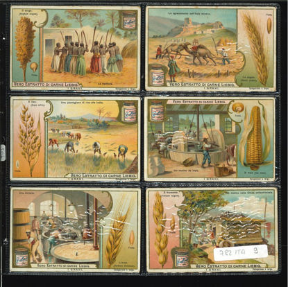 Immagine di 781 - I GRANI-ITALIANA