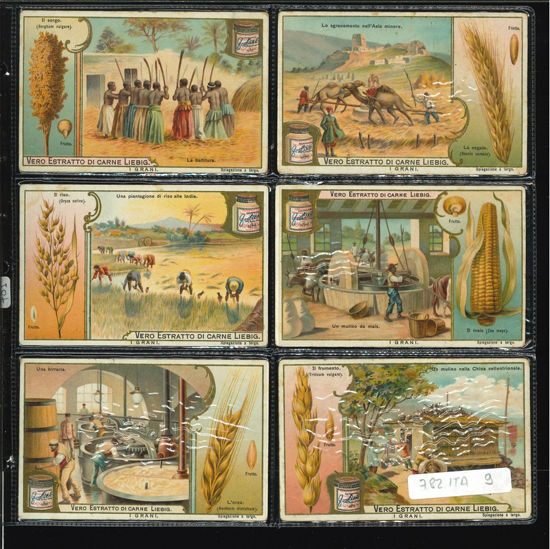 Immagine di 781 - I GRANI-ITALIANA