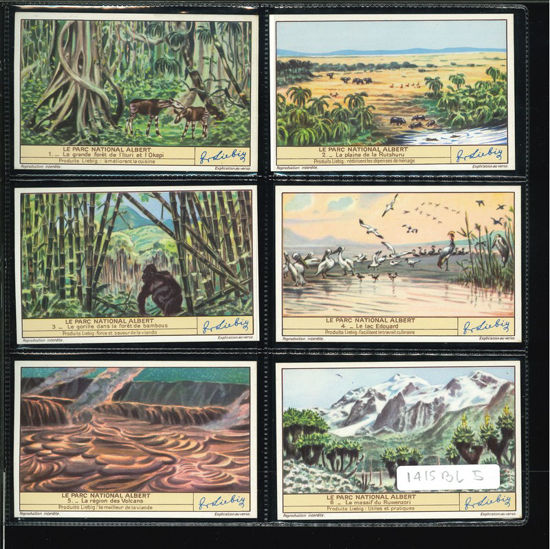 Immagine di 1418 - IL PARCO NAZIONALE ALBERTO --BELGA