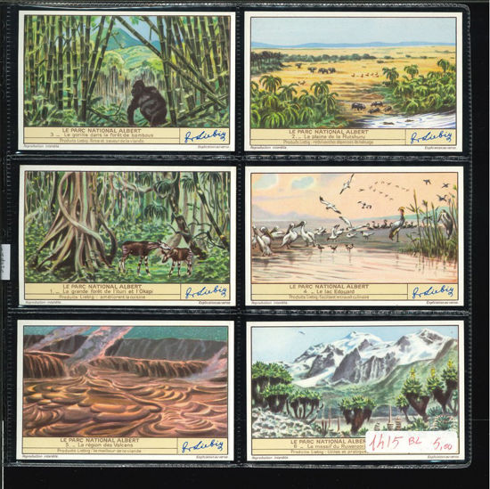 Immagine di 1418 - IL PARCO NAZIONALE ALBERTO --BELGA