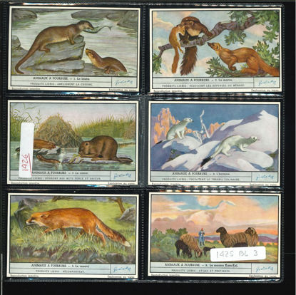 Immagine di 1426 - ANIMALI DA PELLICCIA 1°-BELGA