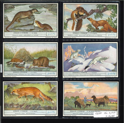 Immagine di 1426 - ANIMALI DA PELLICCIA 1°-BELGA