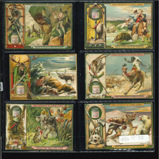 Immagine di 438 - CACCIA (varie specie)-ITALIANA