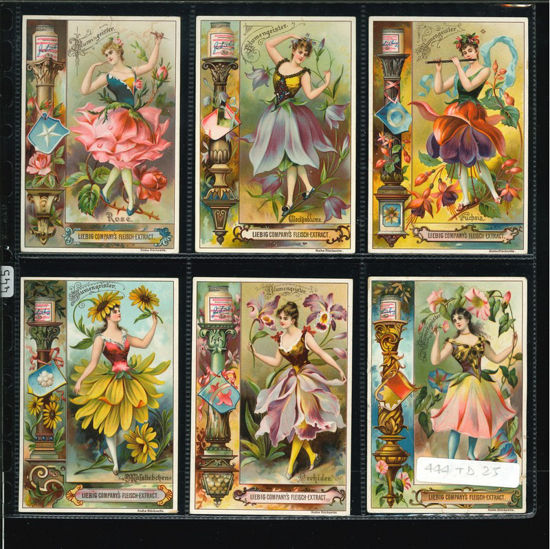 Immagine di 445 - FIORI ANIMATI-TEDESCA