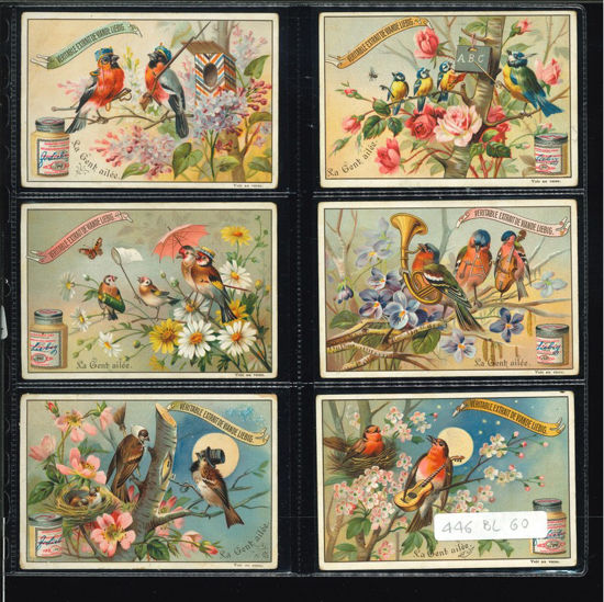 Immagine di 446 - GENTE ALATA-BELGA