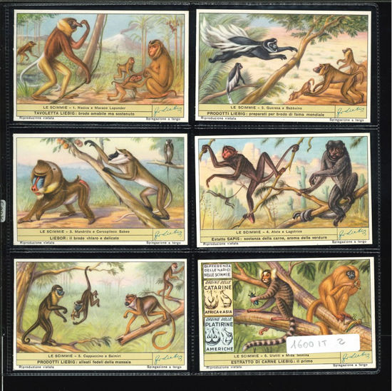 Immagine di 1603 - LE SCIMMIE 1°-ITALIANA