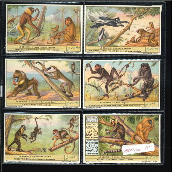 Immagine di 1603 - LE SCIMMIE 1°-ITALIANA