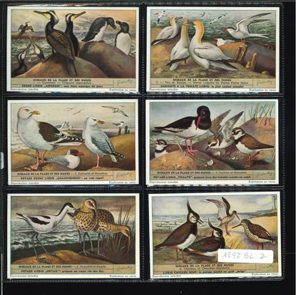 Immagine di 1610 - UCCELLI DELLA SPIAGGIA -BELGA