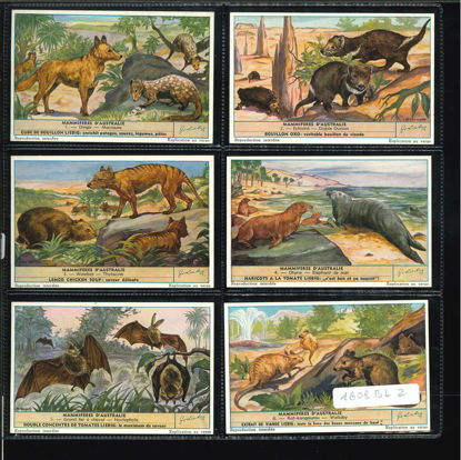 Immagine di 1612 - MAMMIFERI AUSTRALIANI - Mammifères...-BELGA