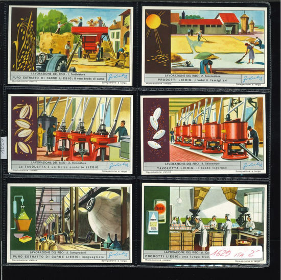 Immagine di 1615 - COLTIVAZIONE DEL RISO-ITALIANA