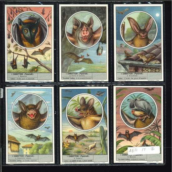 Immagine di 1616 - I CHIROTTERI (Pipistrelli)-ITALIANA