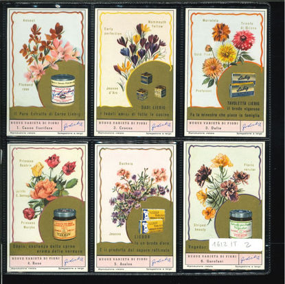 Immagine di 1617 - NUOVE VARIETA' DI FIORI-ITALIANA