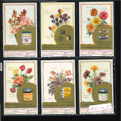 Immagine di 1617 - NUOVE VARIETA' DI FIORI-ITALIANA