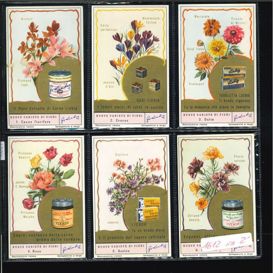 Immagine di 1617 - NUOVE VARIETA' DI FIORI-ITALIANA