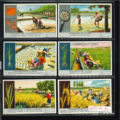 Immagine di 1618 - LAVORAZIONE DEL RISO-ITALIANA