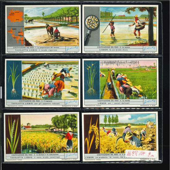 Immagine di 1618 - LAVORAZIONE DEL RISO-ITALIANA