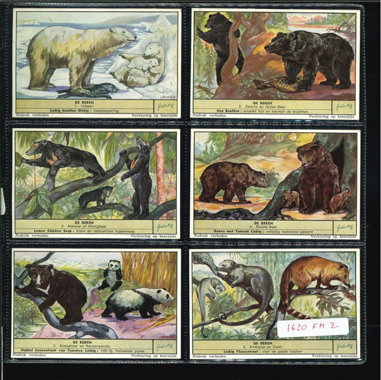 Immagine di 1620 - GLI ORSI - Les ours-FIAMMINGA