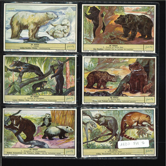 Immagine di 1620 - GLI ORSI - Les ours-FIAMMINGA