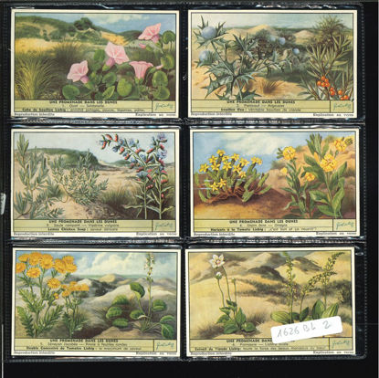 Immagine di 1622 - UNA PASSEGGIATA SULLE DUNE - -BELGA