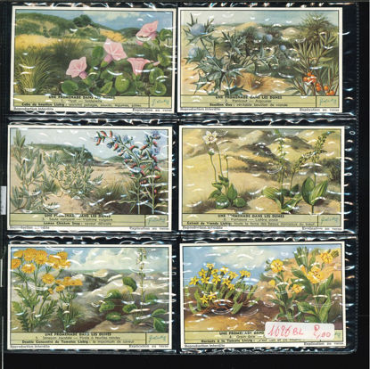 Immagine di 1622 - UNA PASSEGGIATA SULLE DUNE - -BELGA