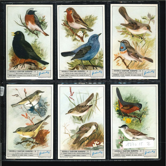 Immagine di 1771 - UCCELLI CANTORI EUROPEI 2°-ITALIANA