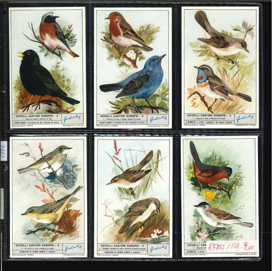 Immagine di 1771 - UCCELLI CANTORI EUROPEI 2°-ITALIANA