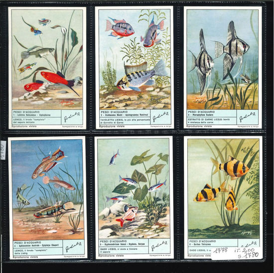 Immagine di 1780 - PESCI D'ACQUARIO-BELGA