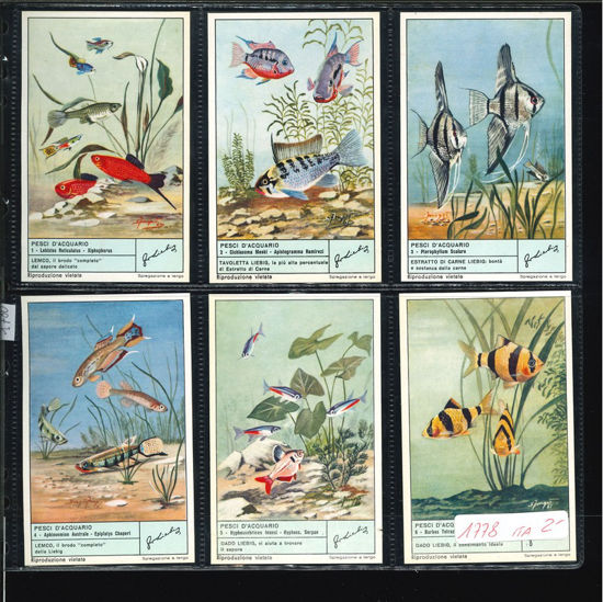 Immagine di 1780 - PESCI D'ACQUARIO-ITALIANA