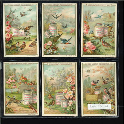 Immagine di 366 - UCCELLI E FIORI-TEDESCA