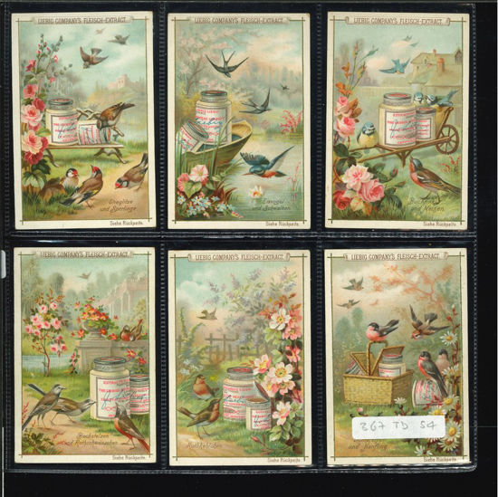 Immagine di 366 - UCCELLI E FIORI-TEDESCA