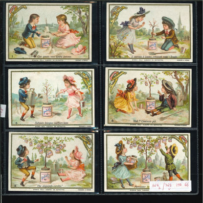 Immagine di 368 - STORIA DELL'ALBERO DA ESTRATTO-ITALIANA