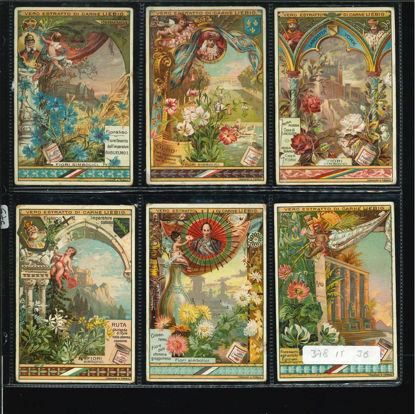 Immagine di 379 - FIORI SIMBOLICI-ITALIANA