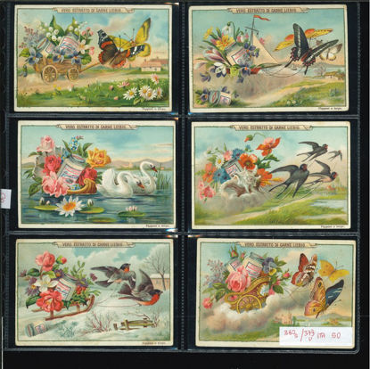 Immagine di 380 - FIORI, UCCELLI E FARFALLE-ITALIANA