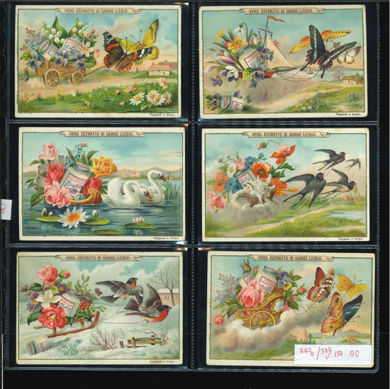 Immagine di 380 - FIORI, UCCELLI E FARFALLE-ITALIANA