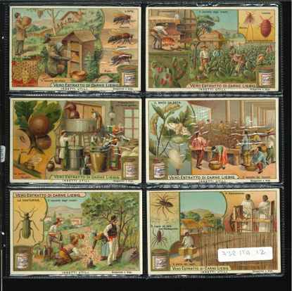 Immagine di 736 - INSETTI UTILI-ITALIANA