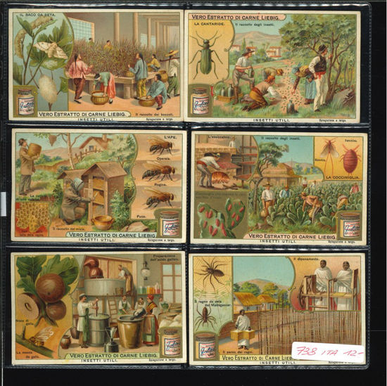 Immagine di 736 - INSETTI UTILI-ITALIANA