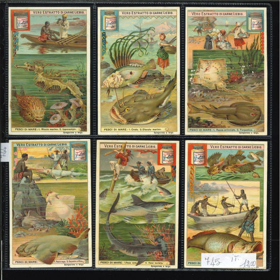 Immagine di 744 - PESCI DI MARE-ITALIANA