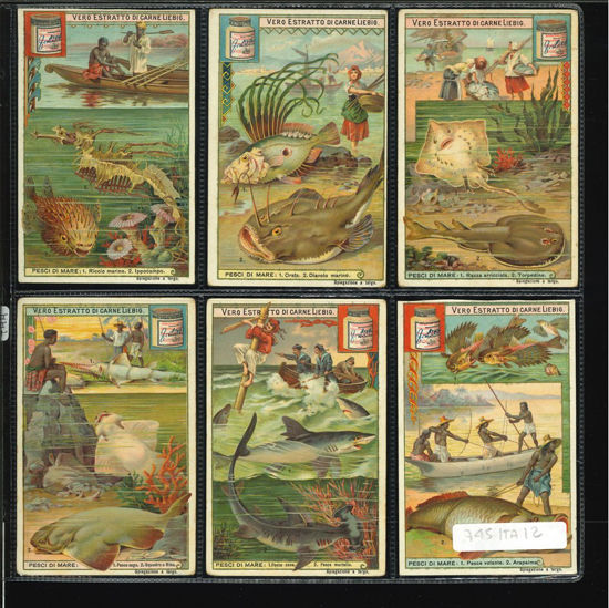 Immagine di 744 - PESCI DI MARE-ITALIANA