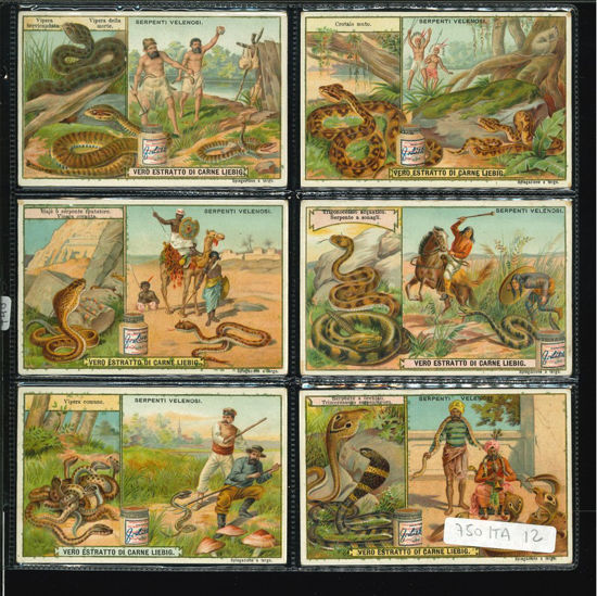 Immagine di 748 - SERPENTI VELENOSI-ITALIANA