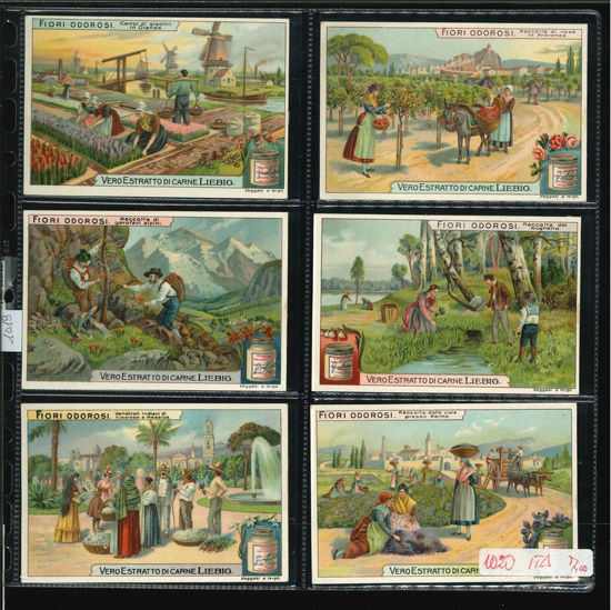 Immagine di 1019 - FIORI ODOROSI-ITALIANA