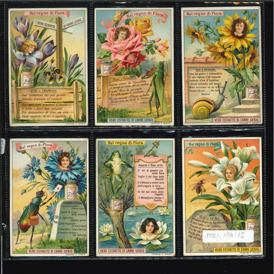 Immagine di 1020 - NEL REGNO DI FLORA-ITALIANA
