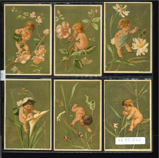 Immagine di 27 - AMORINI 3° (su rami e foglie)-FRANCESE