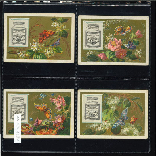 Immagine di 40 - FARFALLE E FIORI-FRANCESE