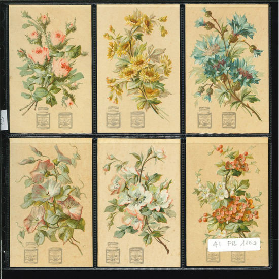 Immagine di 45 - FIORI 1°-FRANCESE