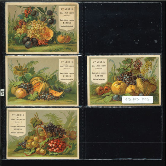 Immagine di 47 - FRUTTA 1° (4 fig.)-FRANCESE
