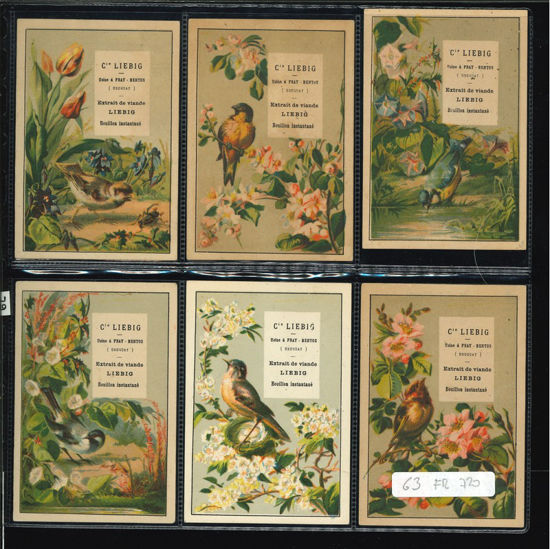 Immagine di 62 - UCCELLI 2° (media grandezza)-FRANCESE