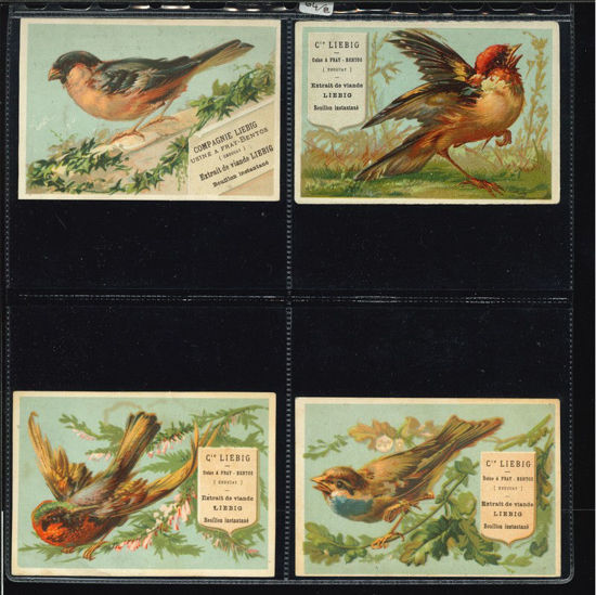 Immagine di 64 - UCCELLI 4° (grandi) 8 fig.I EDIZIONE-FRANCESE