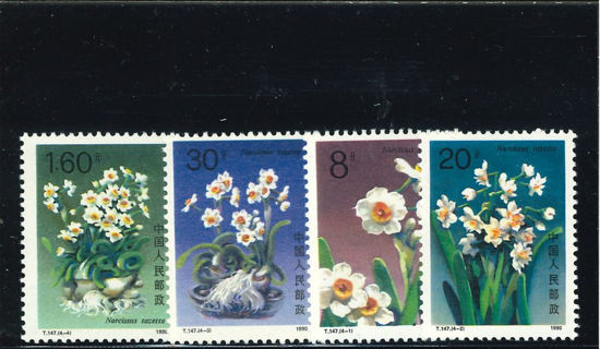 Immagine di 2283 - NARCISI 4v