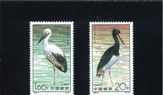 Immagine di 2414 - TRAMPOLIERI 2v