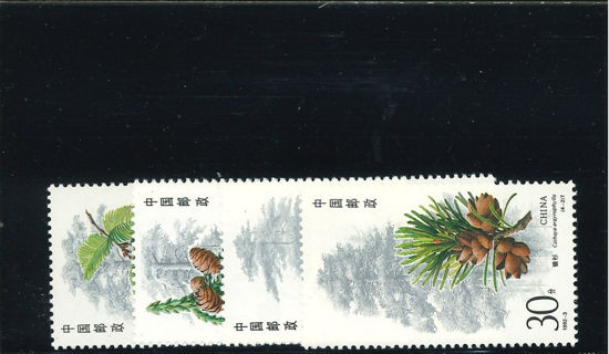 Immagine di 2416 - PINI E PIGNE 4v